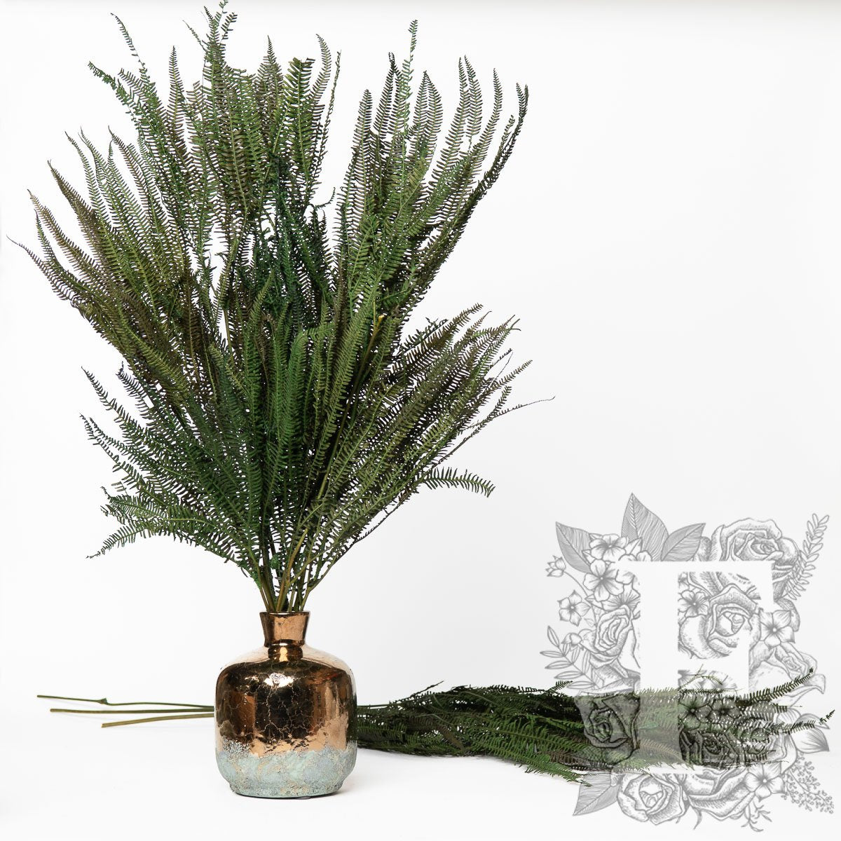 Preserved Trees & Bonsai