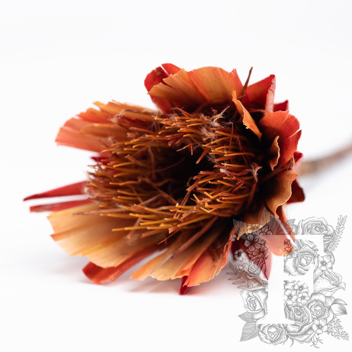 Dry flowers