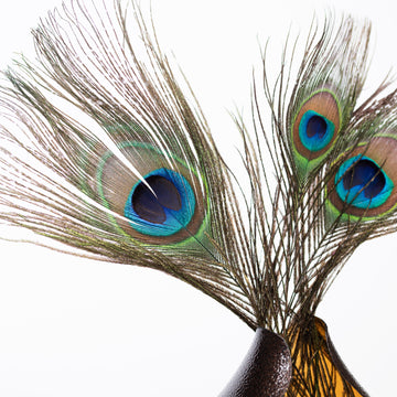 Feathers