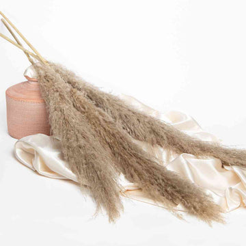Pampas