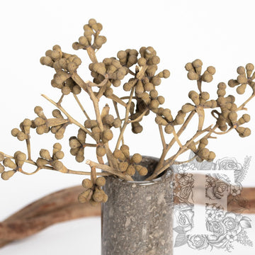 Branches