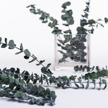 Branches