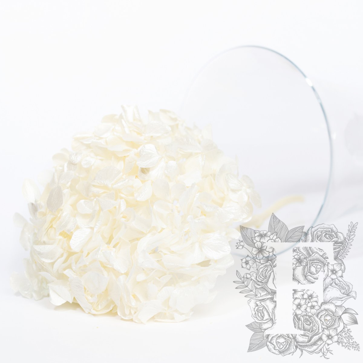 Fora exclusive - Premium Hydrangea - Stem