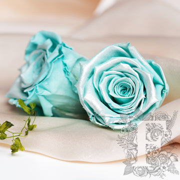 Satin rose - XL - 6 Roses