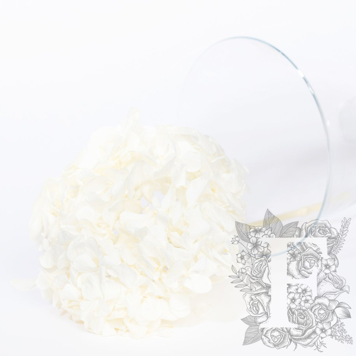 Fora exclusive - Premium Hydrangea - Stem