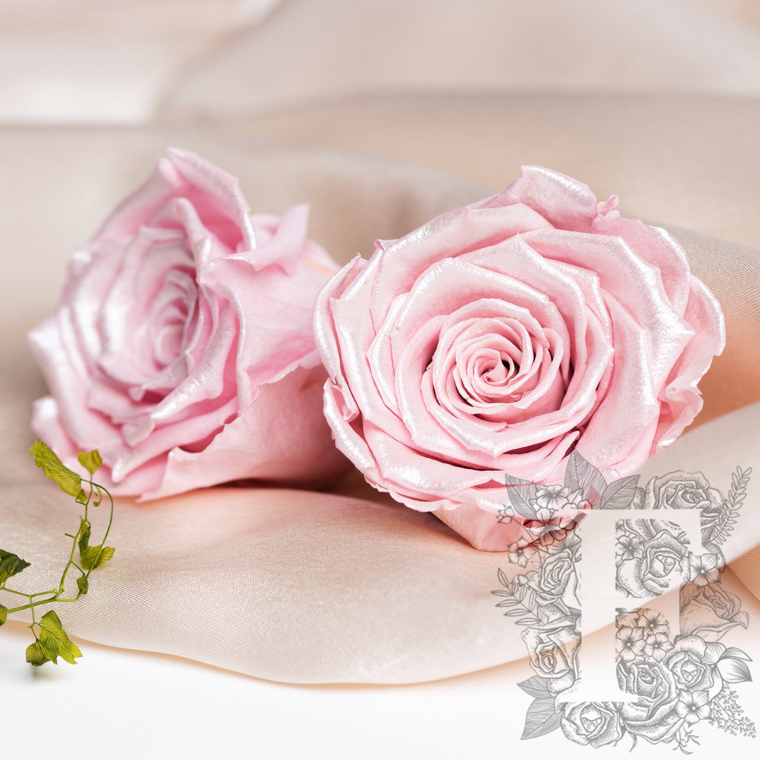 Satin rose - XL - 6 Roses