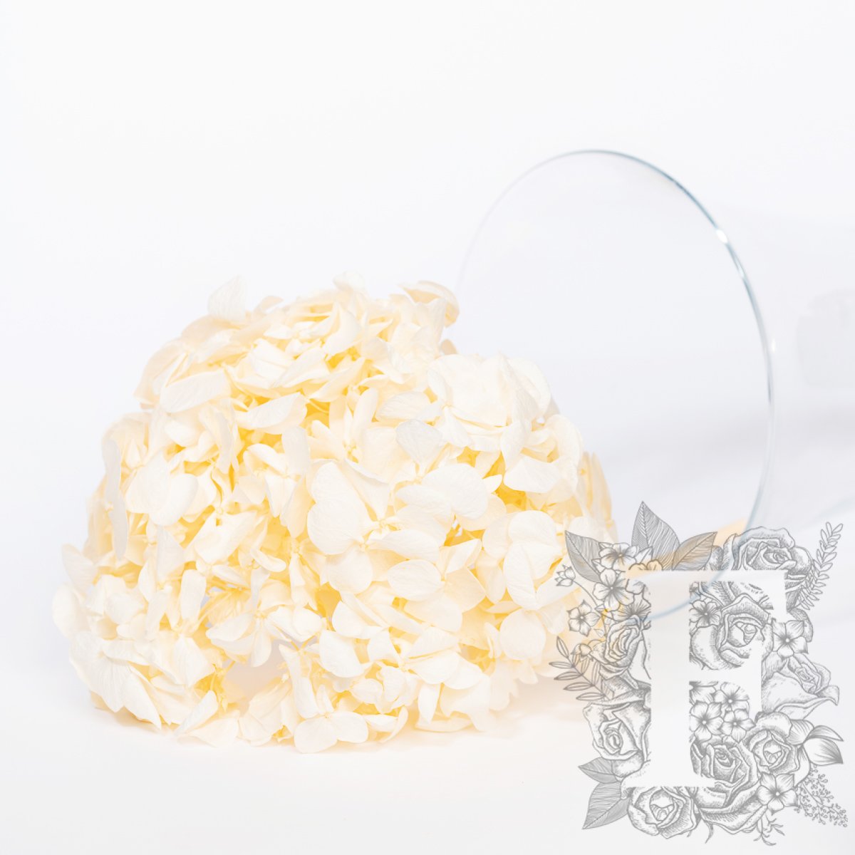 Fora exclusive - Premium Hydrangea - Stem