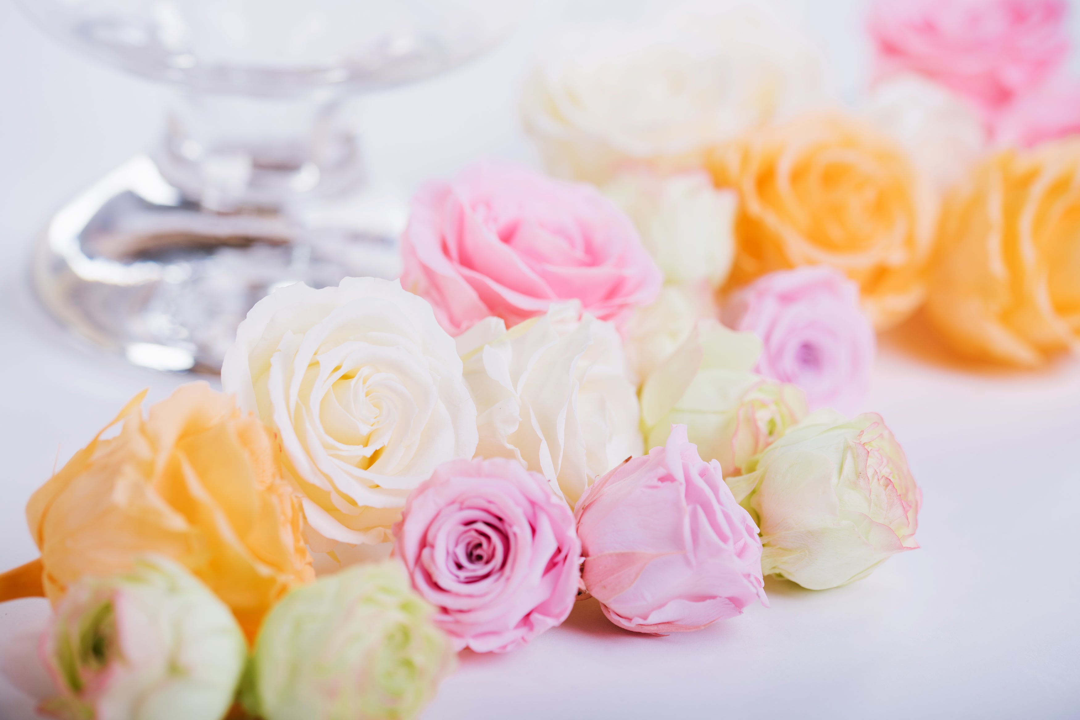 slider image 1621243260e1af0c20-0