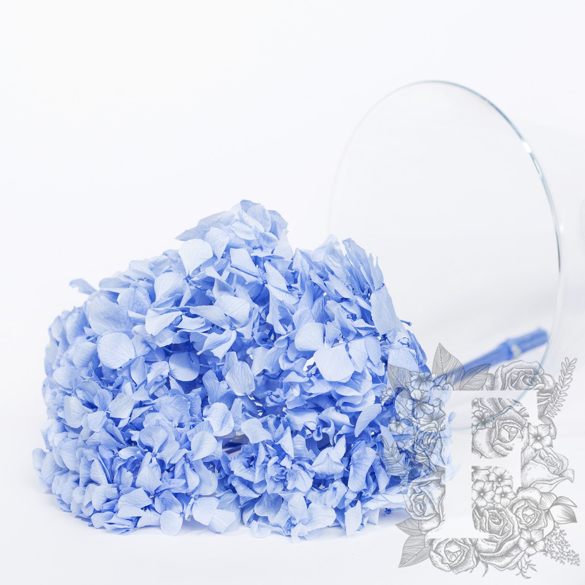 Fora exclusive - Premium Hydrangea - Stem