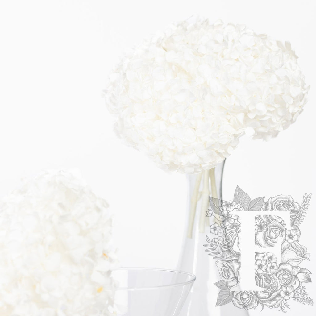 Premium Hydrangea - Stem