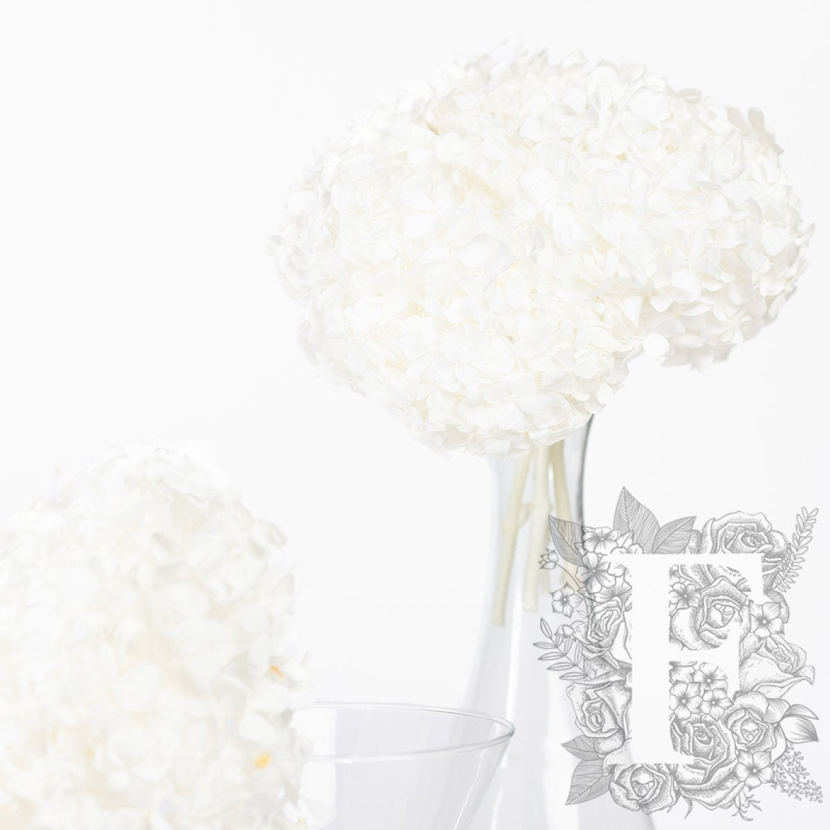 Premium Hydrangea - Stem