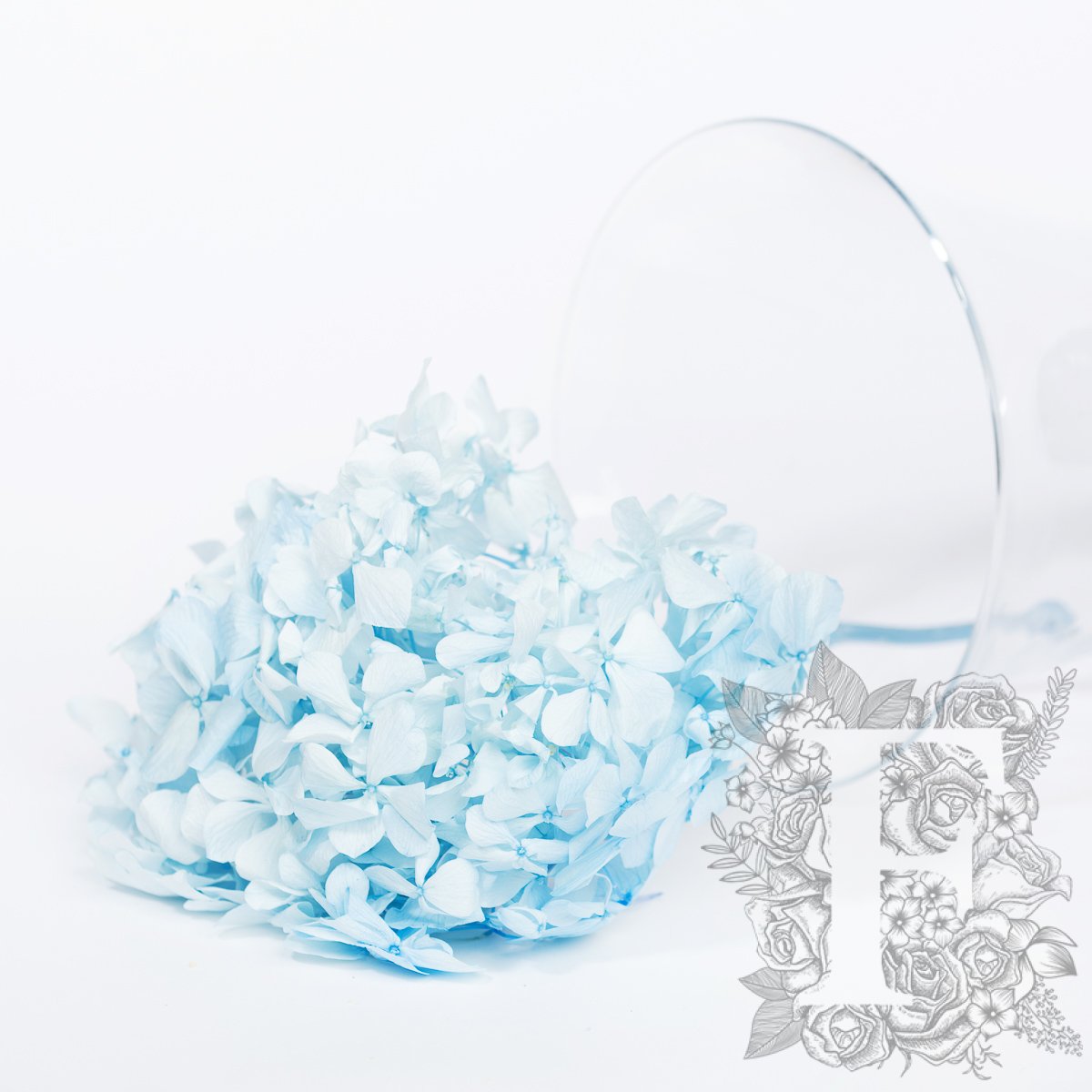 Fora exclusive - Premium Hydrangea - Stem