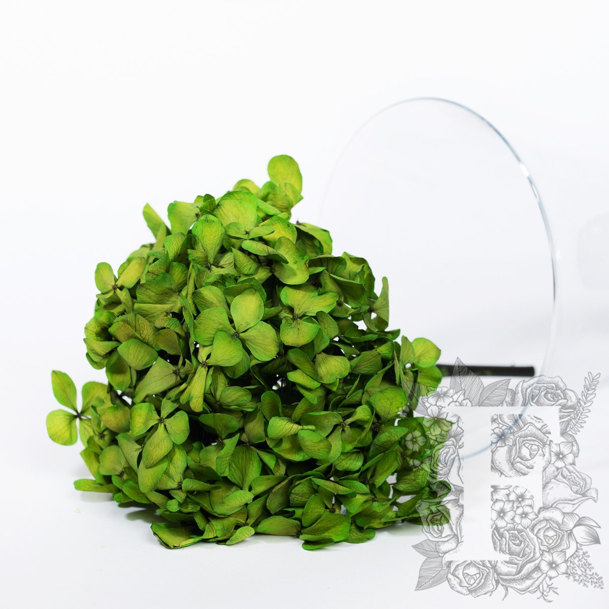 Fora exclusive - Premium Hydrangea - Stem