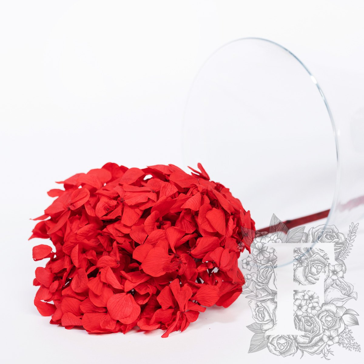 Fora exclusive - Premium Hydrangea - Stem