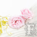 French Rose Majolica - 6 Heads