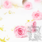Kiara - Super - 8 Heads