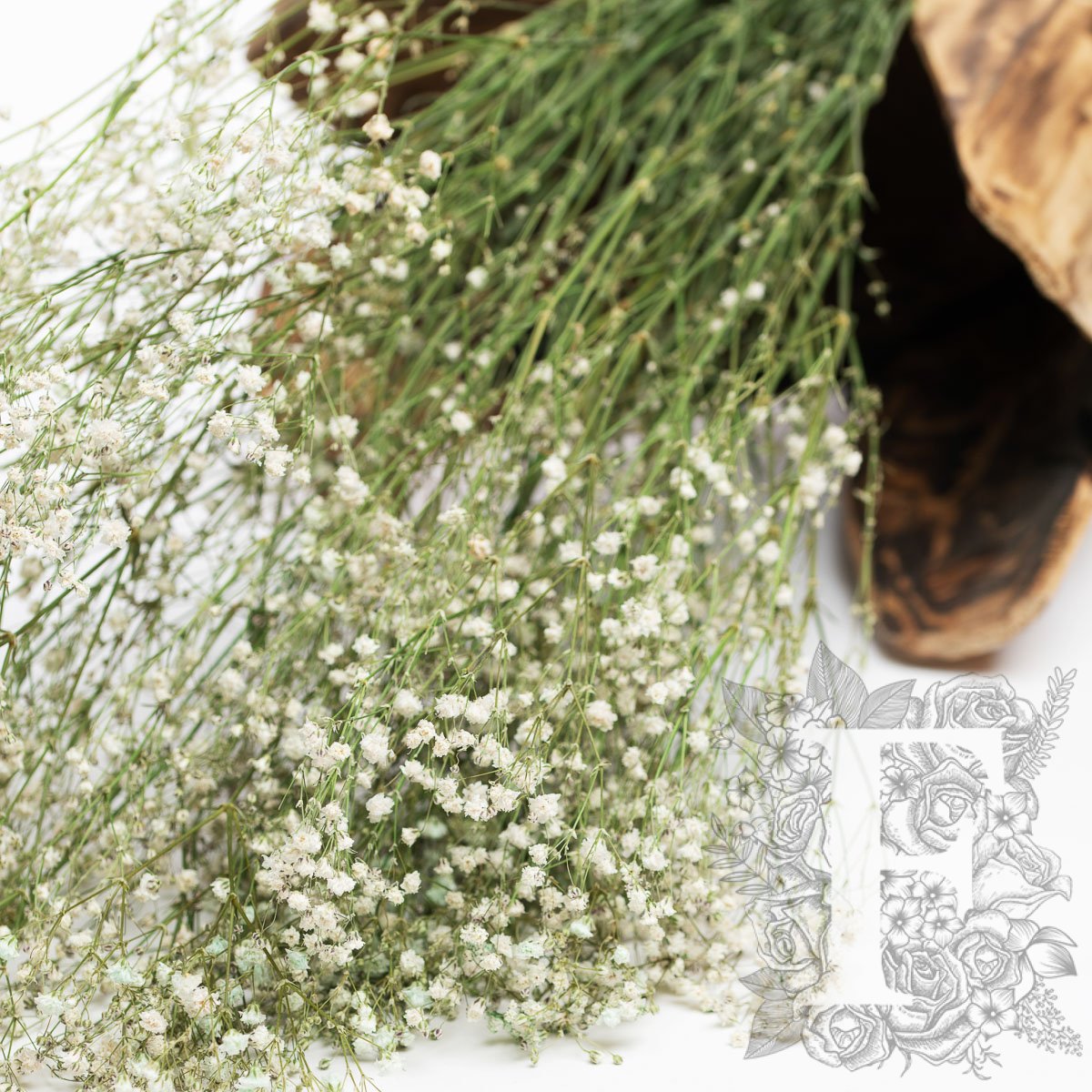 Gypsophila - Bunch