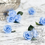 Inis- 8 Heads