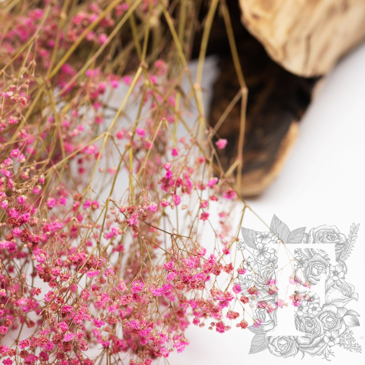 Gypsophila - Bunch
