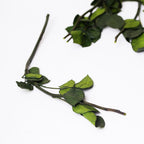 062-JOR_3013