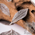 Soft Leaves - Box