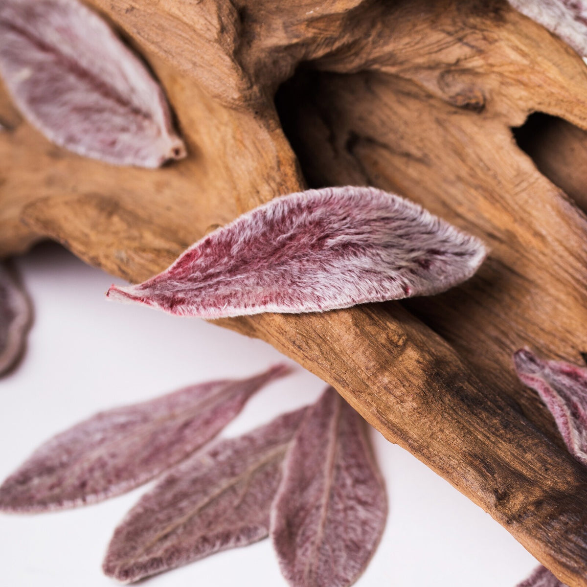 Soft Leaves - Box