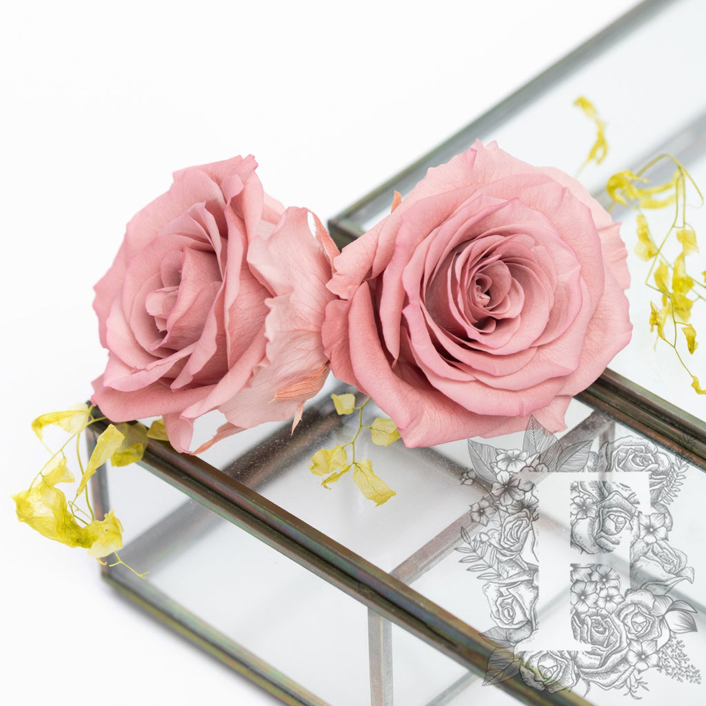 Full bloom rose - 6 Heads