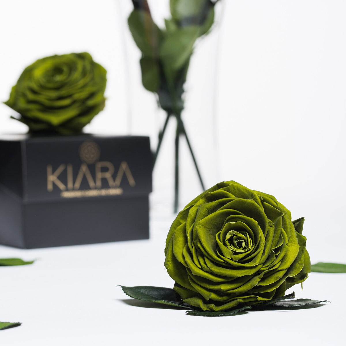 Kiara - Solitario - 1 Head
