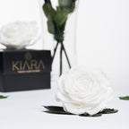 Kiara - Solitario - 1 Head
