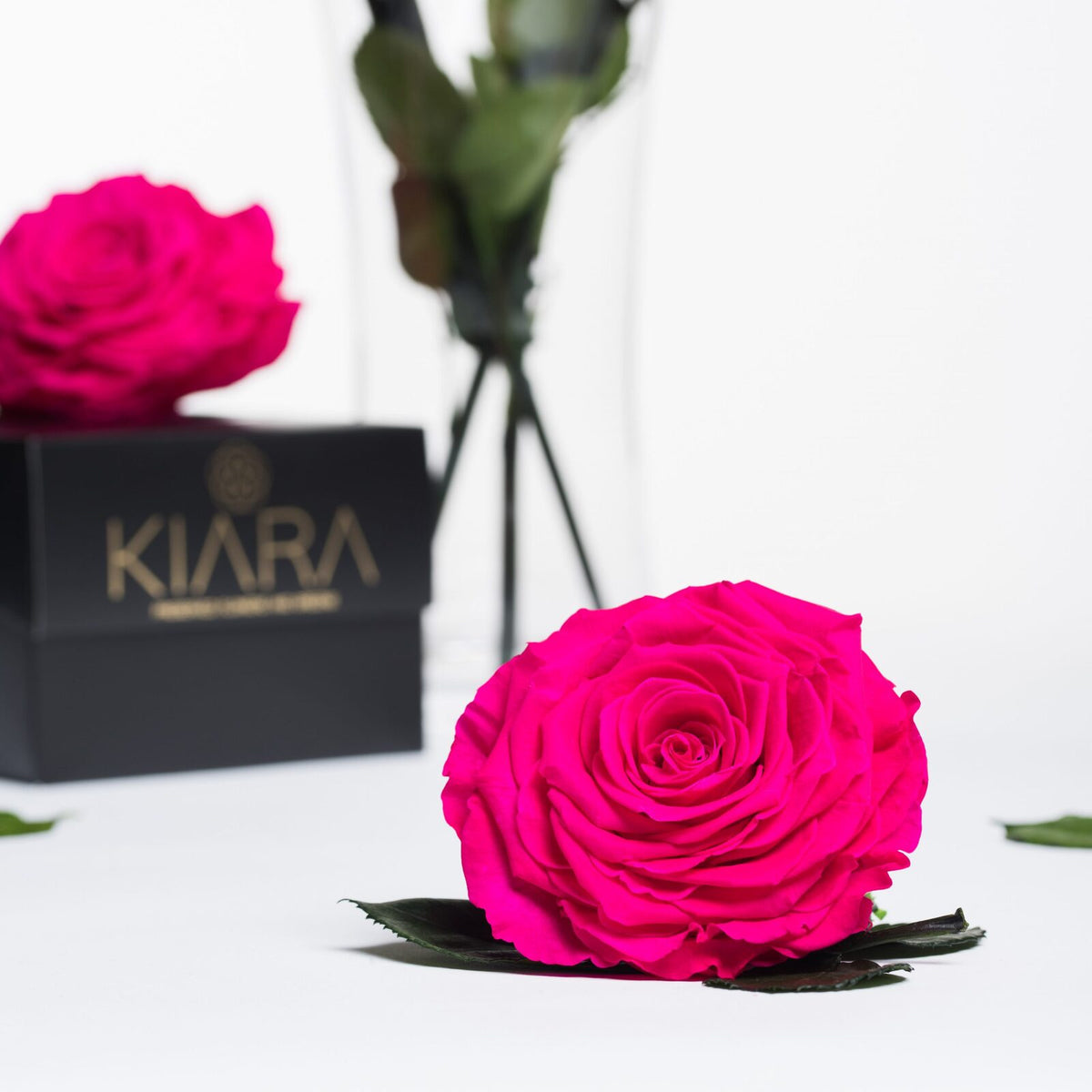 Kiara - Solitario - 1 Head