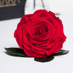 002-Fora-Feb_2019-195 (14)