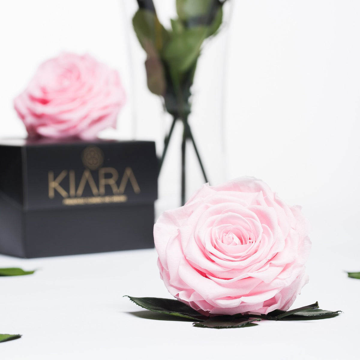 Kiara - Solitario - 1 Head