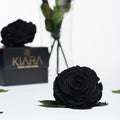 Kiara - Solitario - 1 Head