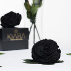 Kiara - Solitario - 1 Head