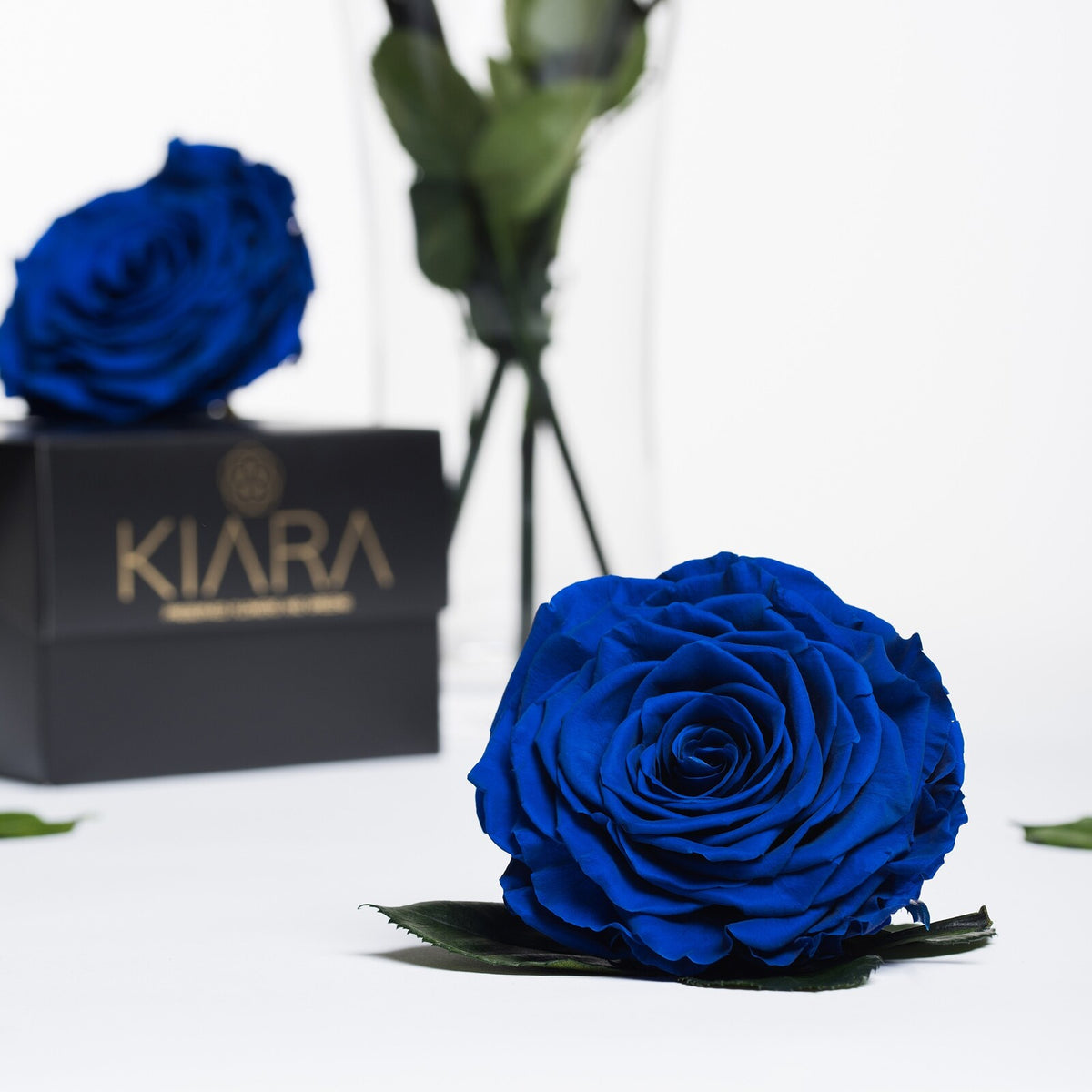Kiara - Solitario - 1 Head