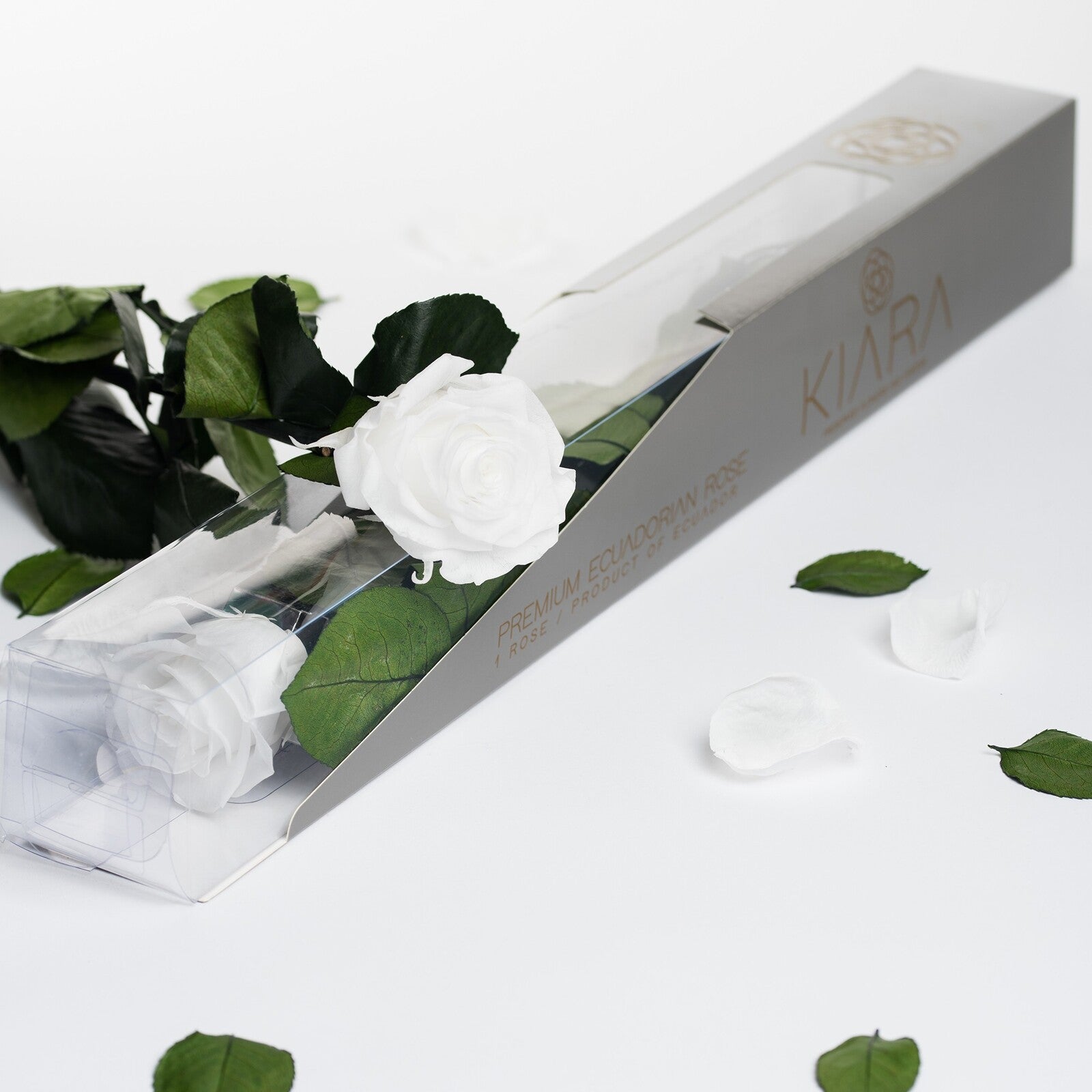 Kiara - Stem with Rose