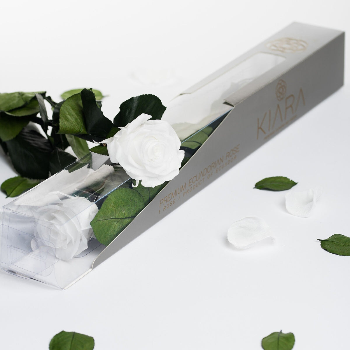 Kiara - Stem with Rose