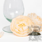 Garden Rose - Peony - Niki - XXL - 1 Head