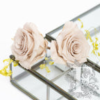 Full bloom rose - 6 Heads
