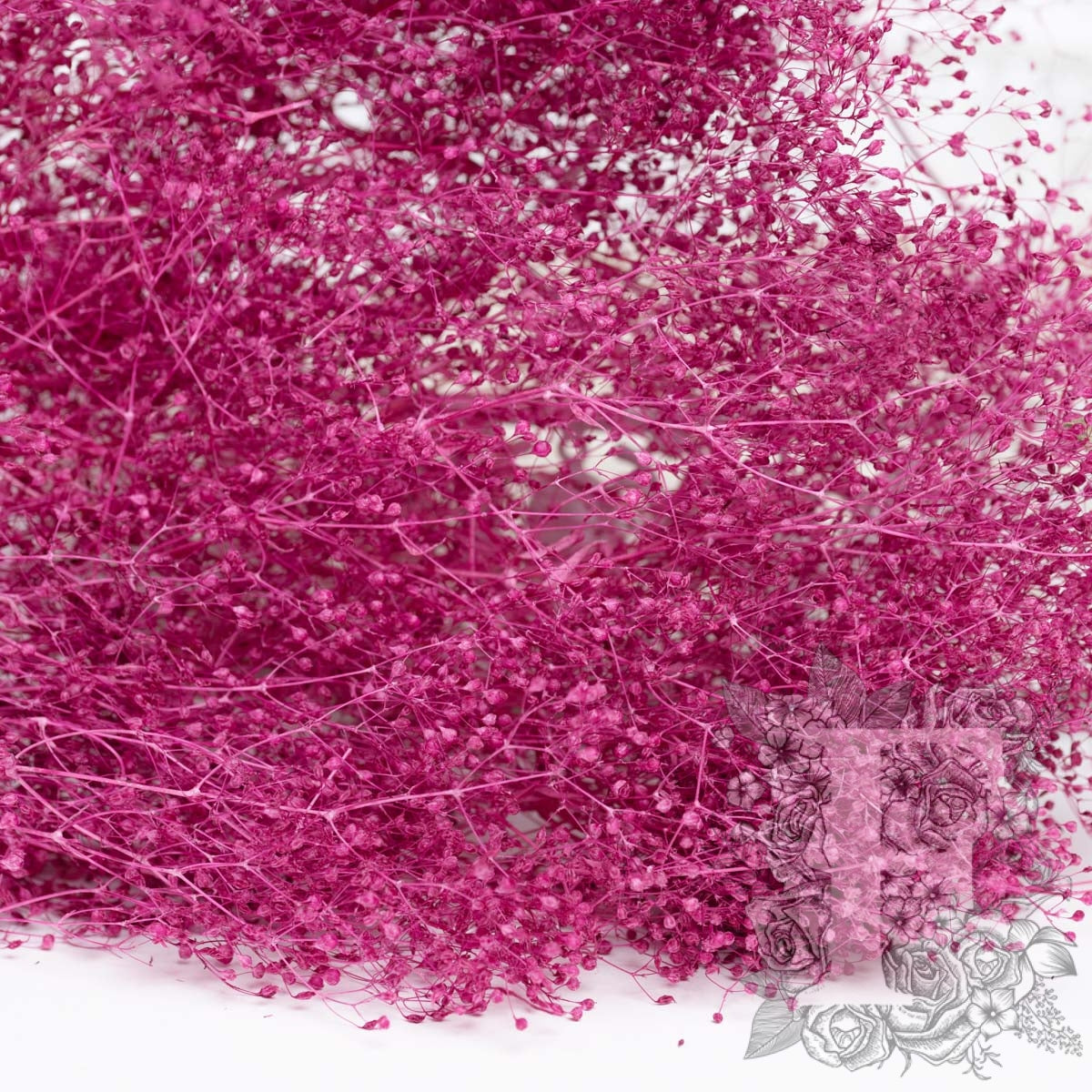Babys breath Gypsophila - Bunch