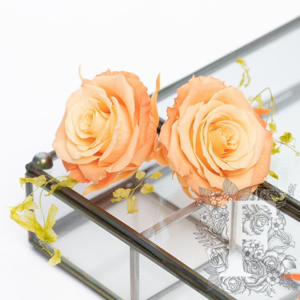 Full bloom rose - 6 Heads