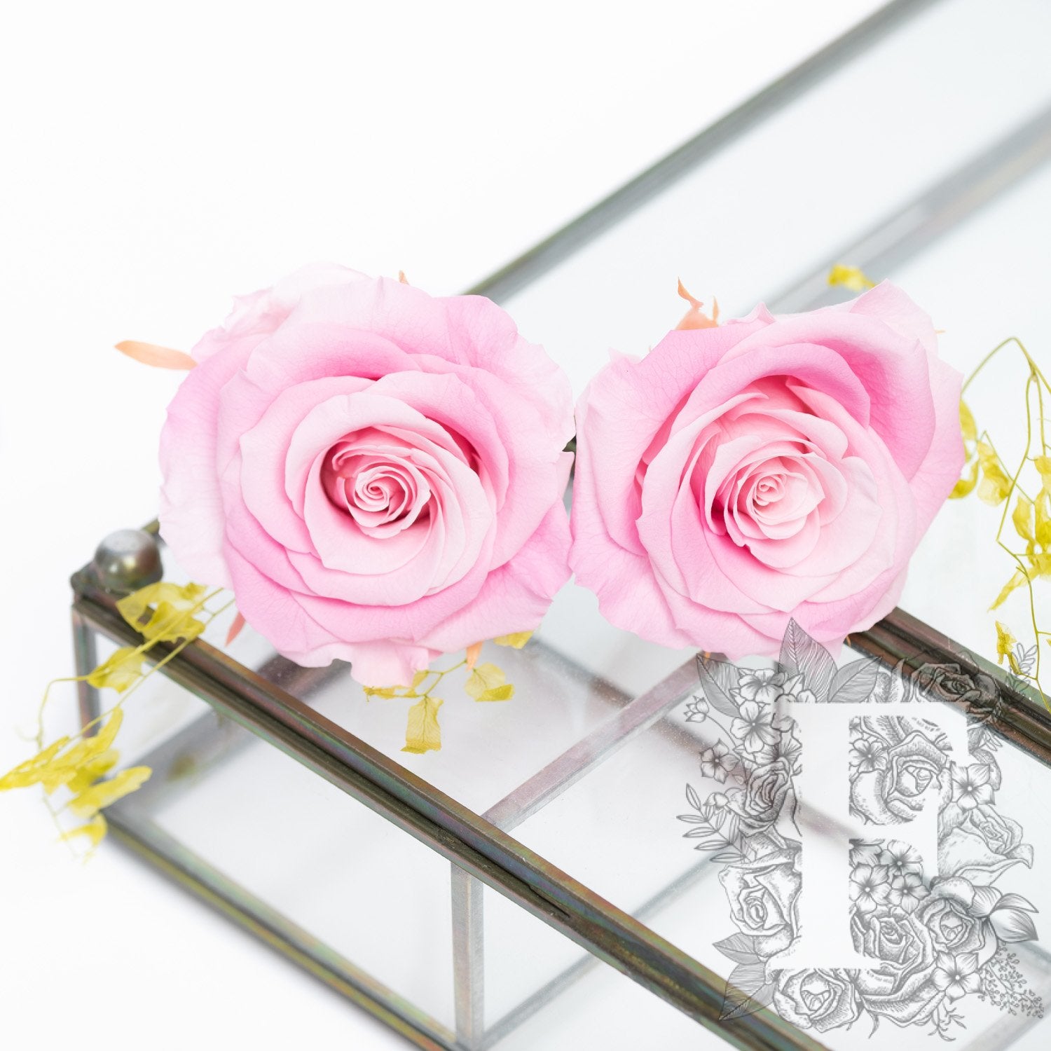 Full bloom rose - 6 Heads