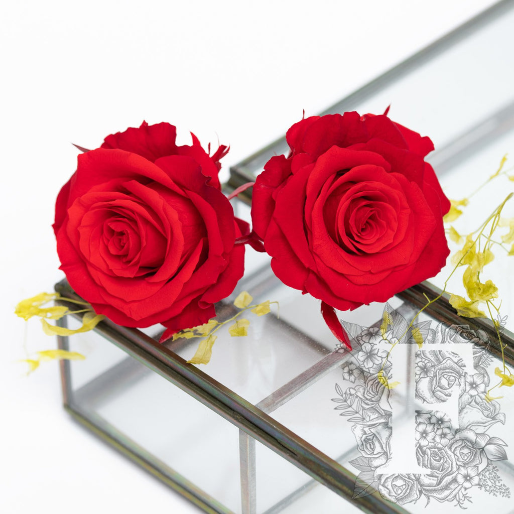 Full bloom rose - 6 Heads