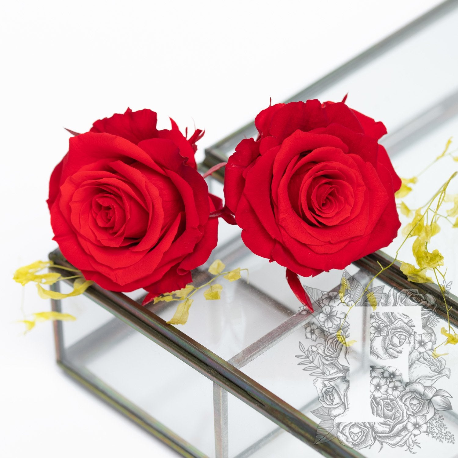 Full bloom rose - 6 Heads