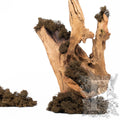 Canopy - Premium - Icelandic Lichen Moss - 1 Kg