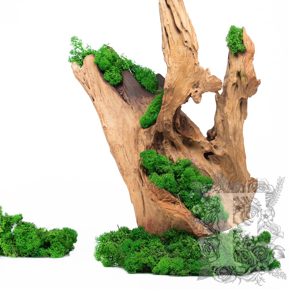 Premium Forest Green Moss 1