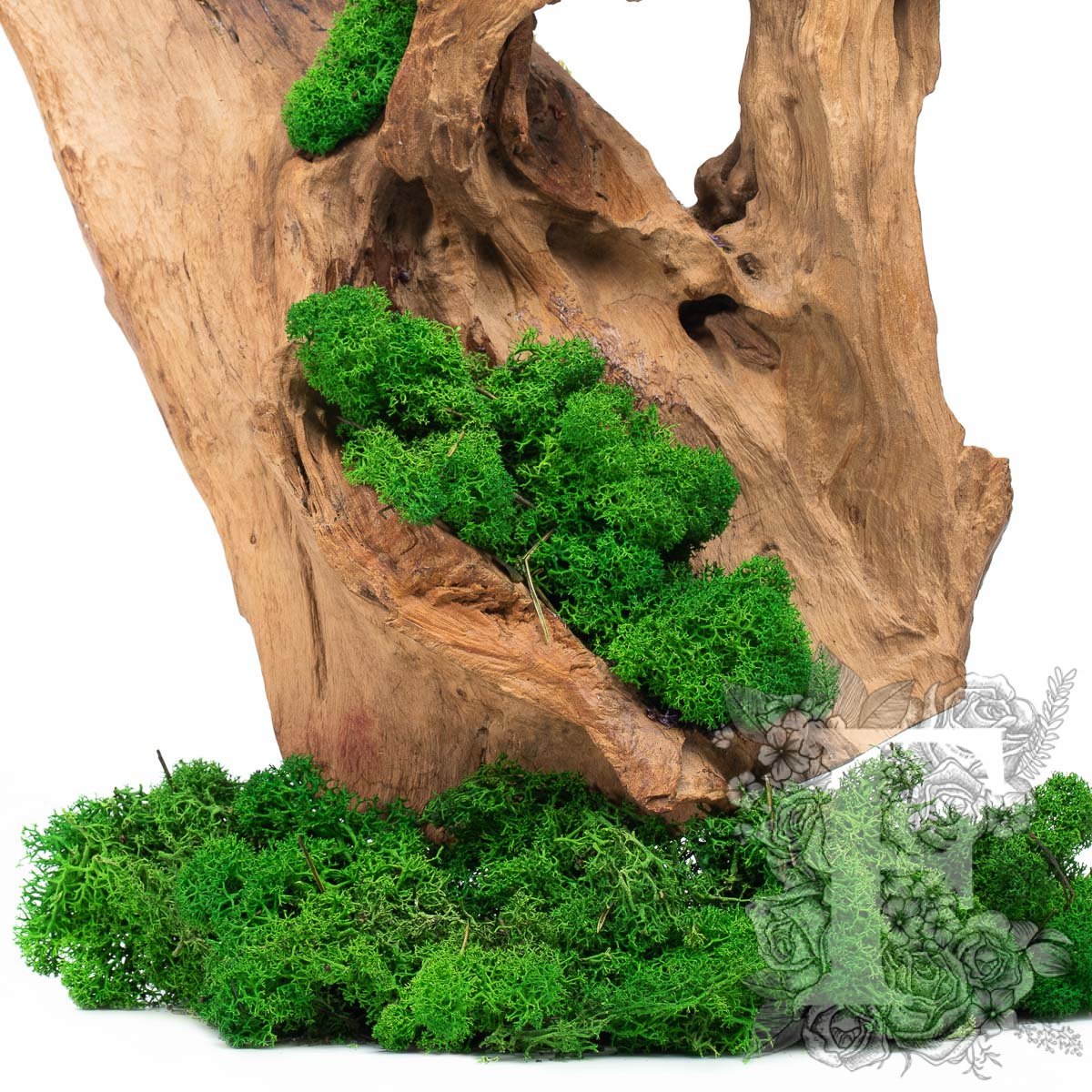 Premium Forest Green Moss 2