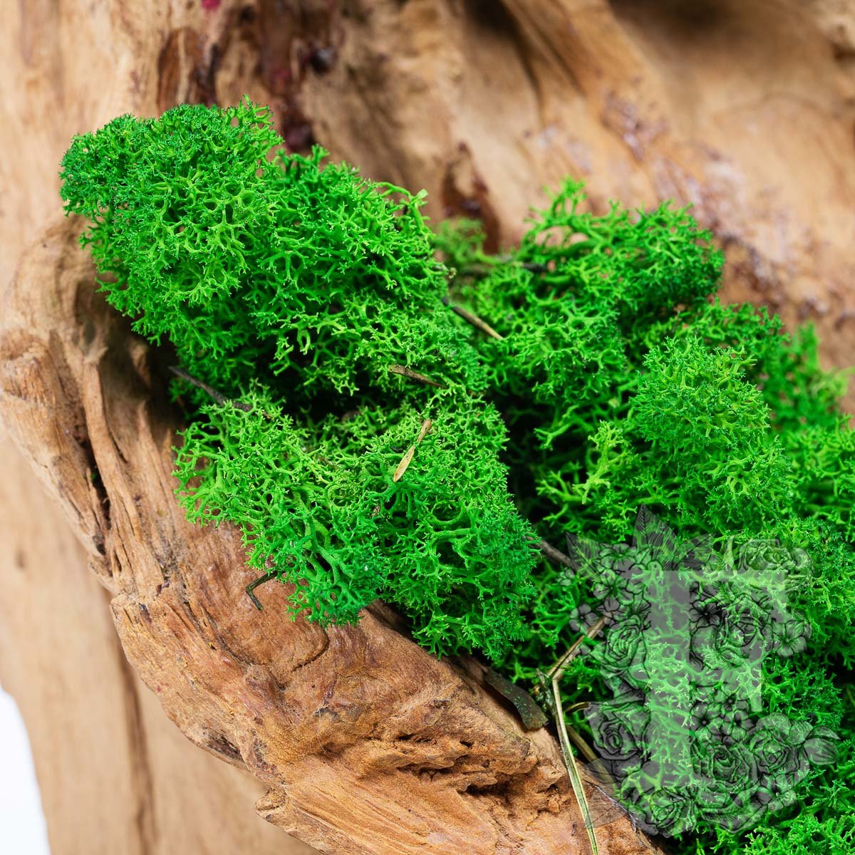 Premium Forest Green Moss 3
