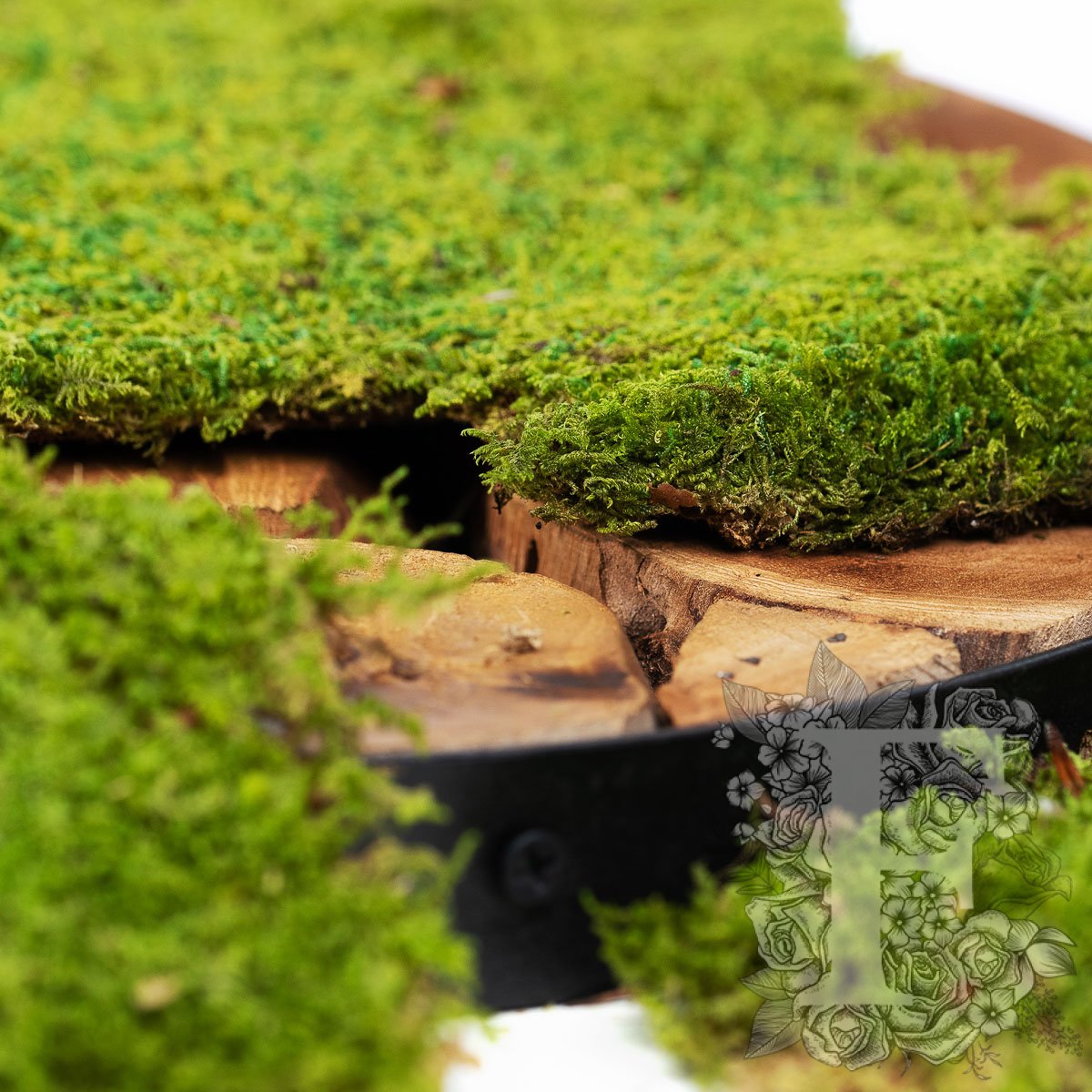 Classic Flat Moss 2