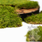 Classic Flat Moss 3